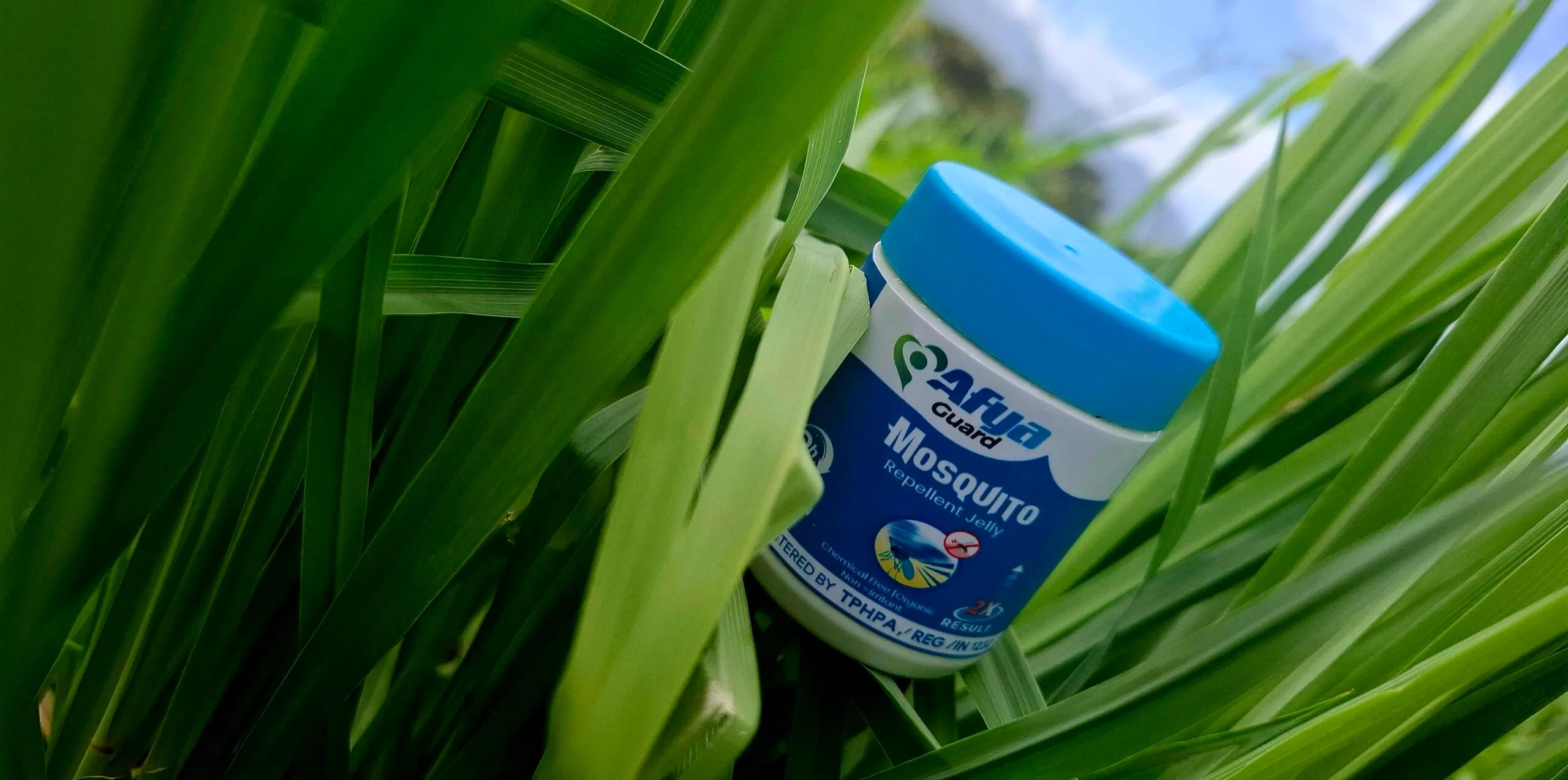 Women trained in repellent production